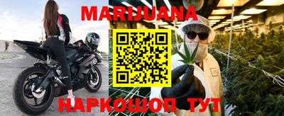 индика Будённовск