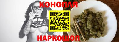 индика Будённовск