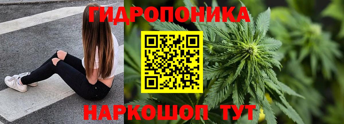 Каннабис THC 21%  Бошки Шишки конопля  Вход с VPN  Нижний Новгород  Шишки марихуана AK-47  Канабис Ganja 
